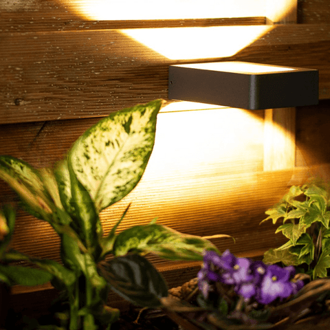 aplica LED fatada, aplica moderna exterior, aplica led exterior, aplica perete, aplici exterior, aplice led exterior, aplice de exterior, aplice exterior moderne, aplica led fatada, aplica led perete exterior, aplica exterior terasa, aplica terasa exterior, aplice exterior casa, aplica iluminat exterior, aplica exterior dedeman, aplica exterior ieftina