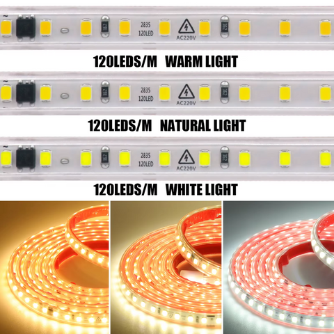 banda led 220v, banda led exterior 220v, banda led 220v fara transformator, banda led 220v 20m, banda led 220v, banda led la 220v, banda led 220v dimabila, banda led alimentare 220v, benzi led 220v, led-box.ro