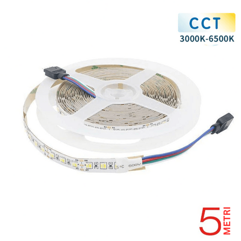 banda LED 5025 interior, banda led tavan 5m, banda led 5025 iluminat mobila, banda LED smd 5025, banda LED IP20, banda LED 14W/m, banda LED 60LED/m, banda LED 5025 pentru interior, banda LED 60LED/m pentru interior, banda LED flexibila 5025, iluminat interior cu LED SMD, solutie de iluminat cu banda LED 5025, banda LED 5025 pentru interior, banda LED interior 12v, banda LED cu 60 LED/m, banda led cct, banda led 5025 dimabila, led-box.ro
