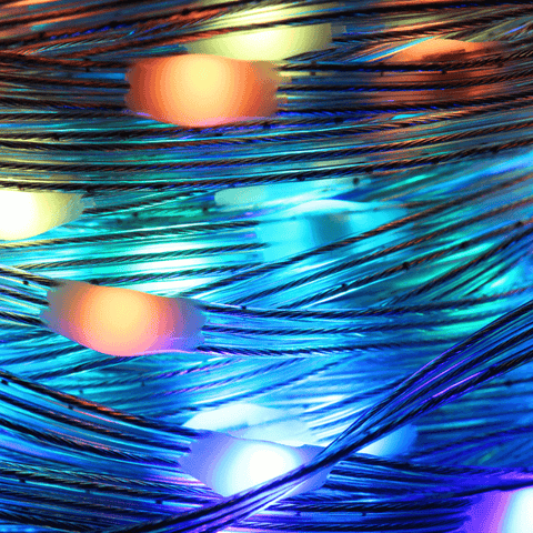 banda led digitala, banda led 10m, banda led multicolora, banda led rgbic, banda led exterior, banda led bluetooth, banda led adresabila, banda led ws281, banda led rgb digitala, banda neo piexel, banda digitala 30led/m, banda digitala dedeman, led-box.ro