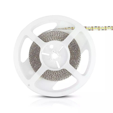 banda led smd 2835, banda led smd 12v, banda led flexibila 12v, banda led 2835 interior, banda led bucatarie, banda led dedeman 12v, banda led 5m, benzi led, benzi cu led 2835, banda led 204led, banda led lumina calda, banda luminoasa led, dedeman banda led 2835, banda cu leduri 2835, banda led smd interior, profil banda led 2835, banda led mobila 12v, banda led auto 12v, banda led scari, banda led camera, banda led dormitor, led-box.ro