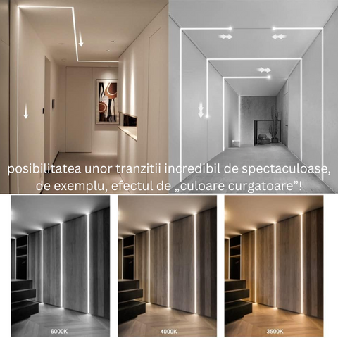 banda led digitala, banda led 10m, banda led lumina calda, banda led lumina naturala, banda led lumina rece, banda led digitala 12w/m, banda led ws2811, banda digitala , led-box.ro