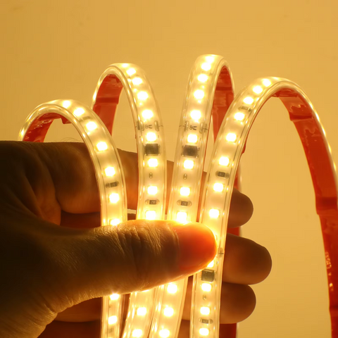 banda led 220v, banda led exterior 220v, banda led 220v fara transformator, banda led 220v 20m, banda led 220v, banda led la 220v, banda led 220v dimabila, banda led alimentare 220v, benzi led 220v, led-box.ro