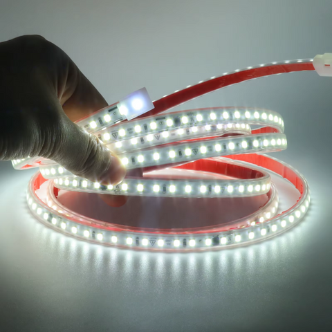 banda led 220v, banda led exterior 220v, banda led 220v fara transformator, banda led 220v 20m, banda led 220v, banda led la 220v, banda led 220v dimabila, banda led alimentare 220v, benzi led 220v, led-box.ro