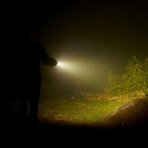 Lanterna led Olight I5T Plus, 550 lumeni - led-box.ro