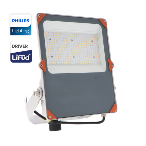 reflector LED 150w profesional, iluminat exterior industrial cu LED, proiector LED IP66, iluminat curți mari cu reflector LED, proiector LED cu sursă Philips și driver Lifud, reflector LED reglabil 1-10V pentru spații comerciale, proiector LED durabil, iluminat economic, proiector LED 150W protecție la supratensiune, reflector LED 150W CCT, led-box.ro