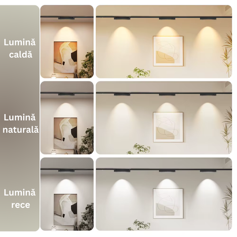 spot LED magnetic 8w negru, spot led sina magnetica, proiector led pe sina magnetica, iluminat sina magnetica, sina spoturi magnetice, corpuri iluminat sina magnetica, spoturi magnetice pe sina, spoturi negre magnetice, sina magnetica led tavan, iluminat pe sina magnetica, led-box.ro