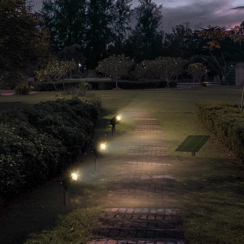 Spoturi solare aprinse noaptea, iluminând o gradina, led-box.ro