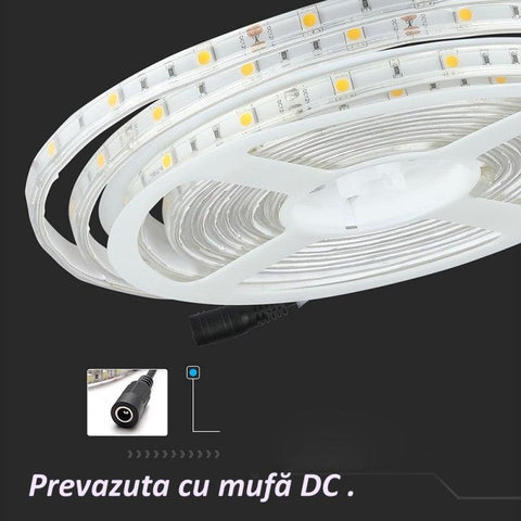 banda led 2835, rola banda led 12v, banda led 204 led, banda led high lumen, banda led bucatarie, banda led dedeman, banda led 5m, benzi led,  banda led lumina calda, banda luminoasa led, banda led 3000K, dedeman banda cu leduri lumina calda, banda leduri, banda led interior, banda led mobila, banda led scari, banda led camera, banda led dormitor, led-box.ro