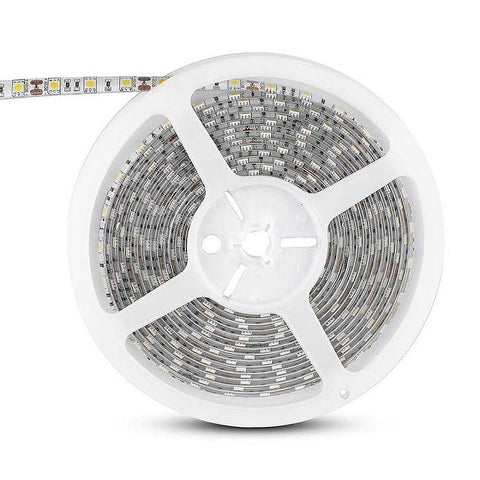 banda led monocolora, banda led smd 5050 interior, banda led flexibila 60led/m, banda led bucatarie 5050, banda led dedeman 3000k, banda led 5m, benzi led, benzi cu leduri smd 5050, banda led 60led, banda led interior 3000k, banda luminoasa 3000k, dedeman banda led, banda cu leduri 12v, banda led smd, profil banda led 5050, banda led mobila 5050, banda led auto 12v, banda led scari, banda led 5050 camera, banda led iluminat dormitor, banda led exterior, banda led rezistenta la apa, led-box.ro