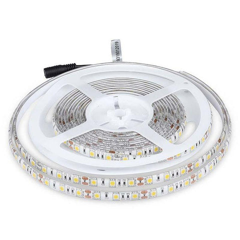 banda led monocolora, banda led smd 5050 interior, banda led flexibila 60led/m, banda led bucatarie 5050, banda led dedeman 3000k, banda led 5m, benzi led, benzi cu leduri smd 5050, banda led 60led, banda led interior 3000k, banda luminoasa 3000k, dedeman banda led, banda cu leduri 12v, banda led smd, profil banda led 5050, banda led mobila 5050, banda led auto 12v, banda led scari, banda led 5050 camera, banda led iluminat dormitor, banda led exterior, banda led rezistenta la apa, led-box.ro