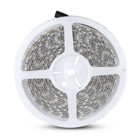 banda led monocolora, banda led smd 5050 interior, banda led flexibila 60led/m, banda led bucatarie 5050, banda led dedeman 3000k, banda led 5m, benzi led, benzi cu leduri smd 5050, banda led 60led, banda led interior 3000k, banda luminoasa 3000k, dedeman banda led, banda cu leduri 12v, banda led smd, profil banda led 5050, banda led mobila 5050, banda led auto 12v, banda led scari, banda led 5050 camera, banda led iluminat dormitor, banda led exterior, banda led rezistenta la apa, led-box.ro