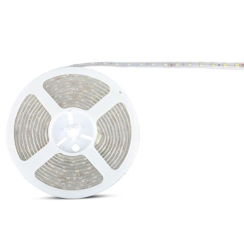 banda led exterior 5050, banda led 24v, banda led 60led, banda cu leduri exterior, benzi led 24v, banda led ip65, banda cu leduri 5m, banda led dedeman 5m, cea mai buna banda led smd, banda cu led 5050 avantaje, montare banda cu leduri 24v, iluminat cu led 5050, iluminat led economic, iluminat ambiental led, iluminat cu banda 24v, banda led rola 5m, led interior, banda led flexibila, led-box.ro
