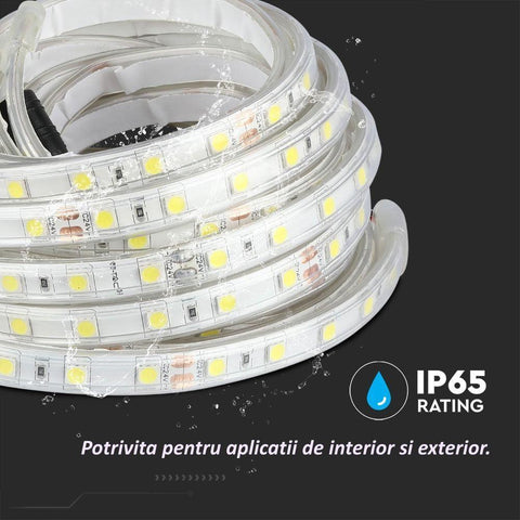 banda led exterior 5050, banda led 24v, banda led 60led, banda cu leduri exterior, benzi led 24v, banda led ip65, banda cu leduri 5m, banda led dedeman 5m, cea mai buna banda led smd, banda cu led 5050 avantaje, montare banda cu leduri 24v, iluminat cu led 5050, iluminat led economic, iluminat ambiental led, iluminat cu banda 24v, banda led rola 5m, led interior, banda led flexibila, led-box.ro