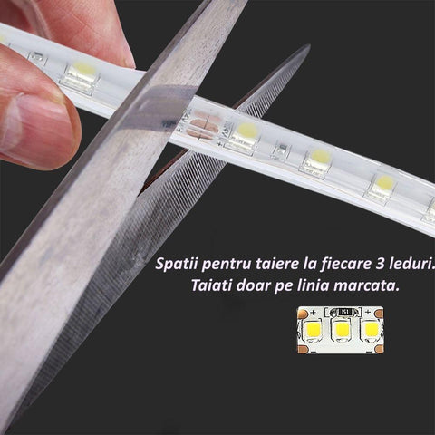 banda led exterior 5050, banda led 24v, banda led 60led, banda cu leduri exterior, benzi led 24v, banda led ip65, banda cu leduri 5m, banda led dedeman 5m, cea mai buna banda led smd, banda cu led 5050 avantaje, montare banda cu leduri 24v, iluminat cu led 5050, iluminat led economic, iluminat ambiental led, iluminat cu banda 24v, banda led rola 5m, led interior, banda led flexibila, led-box.ro