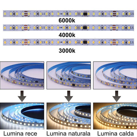 banda led digitala, banda led 10m, banda led lumina calda, banda led lumina naturala, banda led lumina rece, banda led digitala 12w/m, banda led ws2811, banda digitala , led-box.ro