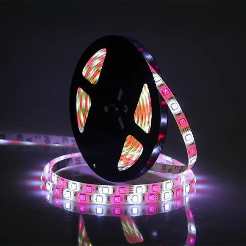 Banda RGBW 5050 SMD alb cald IP65-led-box.ro