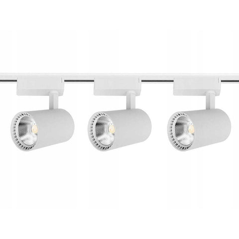 Set sina alba 2 metri cu 3 spoturi led cob 30w-led-box.ro