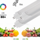 Tub LED Ekran T8 cu senzor de miscare, 20W 2000LM, 120 cm, 6000k