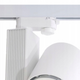 adaptor sina trifazata, adaptor spotui sina trifazata, adaptor spot trifazat, accesorii sine trifazate, adaptor alb sina trifazata, led-box.ro