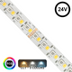  bandă LED RGB+CCT 24V, lungime 10 m, lățime 12 mm