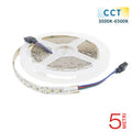 Banda LED CCT 5m dual alb cald si alb rece 12V