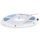 banda led rgbic digitala, 24v, led-box.ro