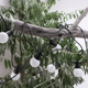 ghirlanda cu 10 becuri led rgbw terasa sau foisor, interconectabila, led-box.ro