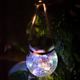 Lampă solară LED RGB suspendată într-un copac, glob din sticlă vintage iluminat pe timp de noapte, led-box.ro
