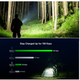 Olight Baton 4 iluminând o potecă în pădure pe timp de noapte
