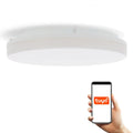 Plafoniera LED Smart CCT Rainbow 24W IP55, WiFi App Control LDM