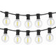 Ghirlandă LED 20m cu 20 becuri E12 lumină caldă 2700K pentru exterior