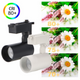 spoturi pe sina CCT, redare a culorilor natural, CRI80, led-box.ro