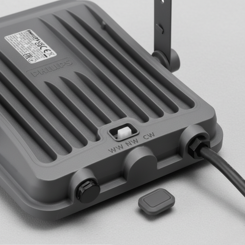 Proiector LED reglabil PHILIPS 50W pentru curți și fațade