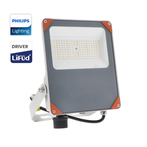 reflector LED 100w profesional, proiector LED 17000lm, iluminat exterior industrial cu LED, proiector LED IP66, iluminat curți mari cu reflector LED, proiector LED cu sursă Philips și driver Lifud, reflector LED reglabil 1-10V pentru spații comerciale, proiector LED durabil, iluminat economic, proiector LED 100W cu protecție la supratensiune, reflector LED 100W CCT, led-box.ro
