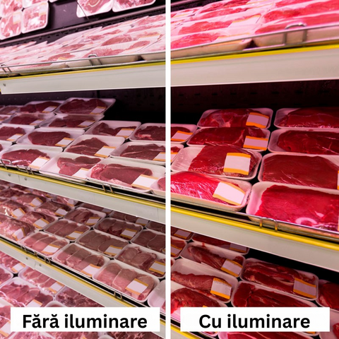 Tub LED T8 lungime 120cm pentru vitrina cu carne din carmangerii, led-box.ro