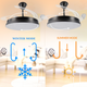 ventilator de tavan cu lustra LED cct, functii vara/iarna, led-box.ro