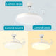 ventilator tavan, ventilator cu lustra CCT, lustra cu ventilator si telecomanda, corp iluminat cu ventilator, lustra led cu ventilator i telecomanda, ventilator tavan silentios, led-box.ro