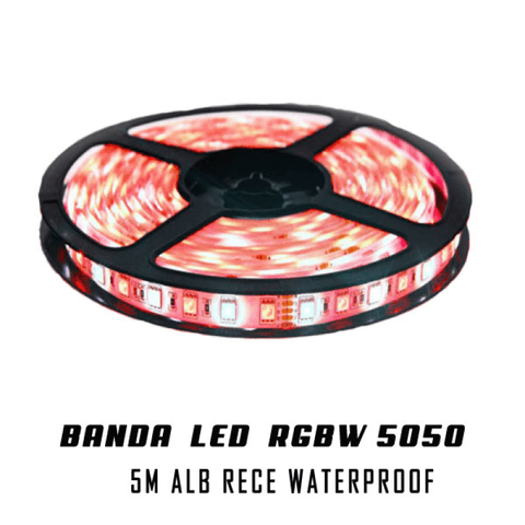 Banda LED RGBW 5050 SMD, 60 LED/m, alb rece IP65-led-box.ro