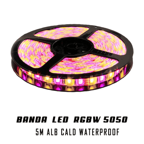 Banda RGBW 5050 SMD alb cald IP65-led-box.ro