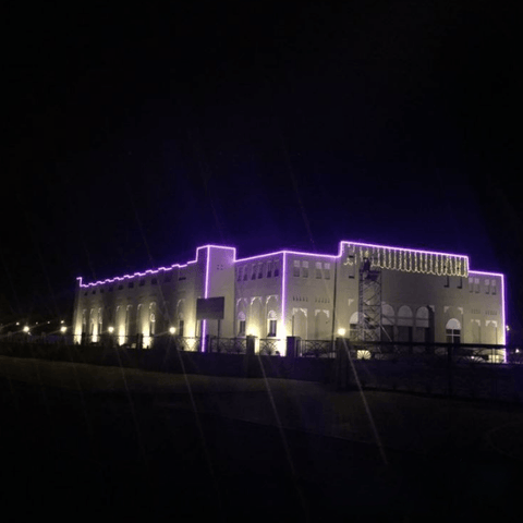 neon flex mov 24v 120led metru